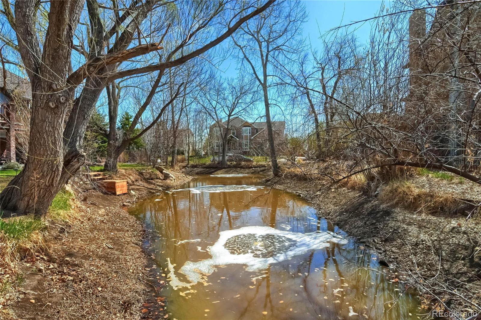 3935 Pierson Street Wheat Ridge, CO 80033 - Photo 35 of 40 a view of a yard with a tree