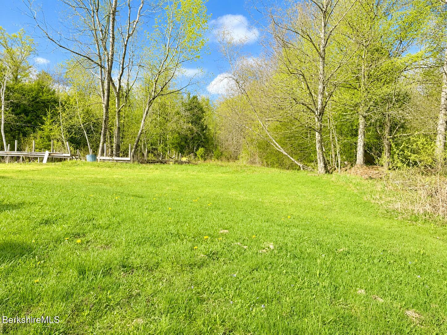 1155 Main Road Savoy, MA 01256 - Photo 12 of 22 Yard