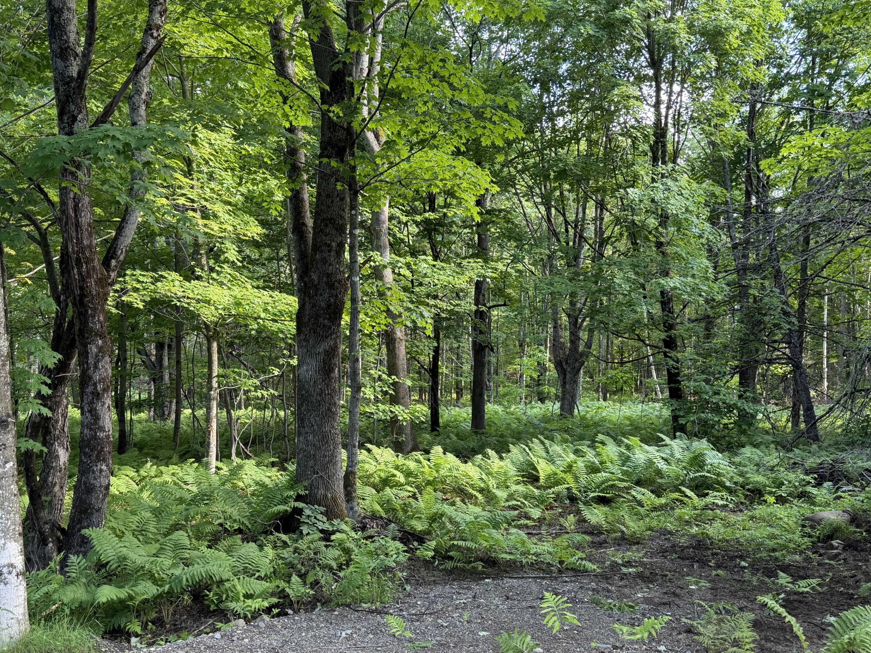 47 Greenville Road, Unit LOT 2 Shirley, ME 04485 - Photo 3 of 5