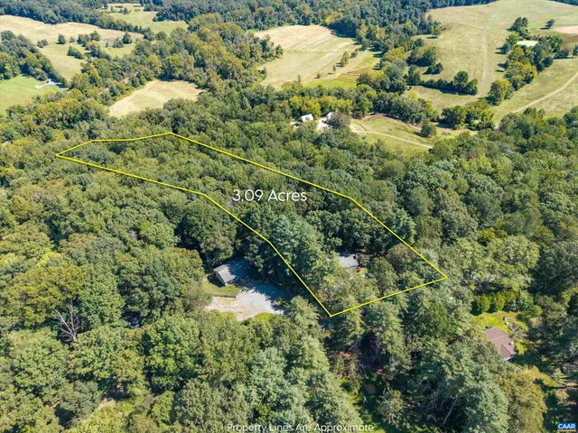 a view of a forest with a house