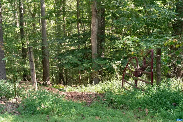 a view of outdoor space and green space
