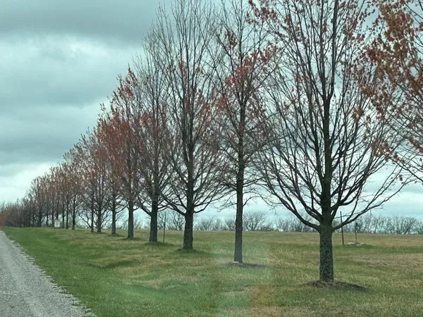 $359,000 | 10500 East 329th Street, Drexel, MO 64742