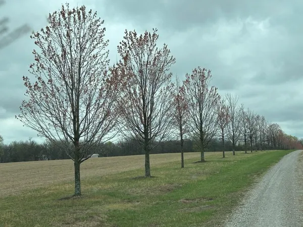 $359,000 | 10500 East 329th Street, Drexel, MO 64742