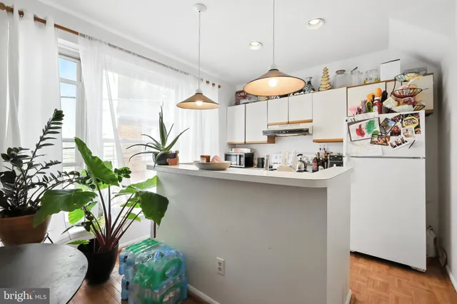 a kitchen with a sink a counter and a potted plant