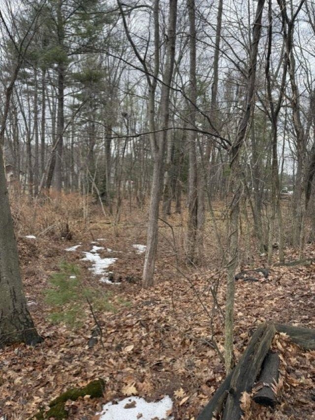 2 Shore Drive Goffstown, NH 03045 - Photo 12 of 20