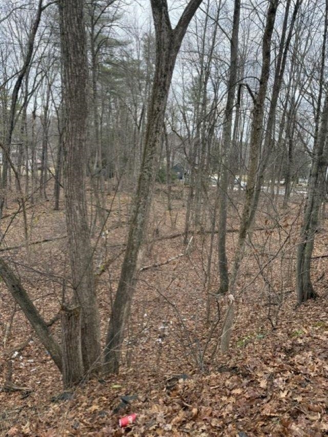 2 Shore Drive Goffstown, NH 03045 - Photo 18 of 20