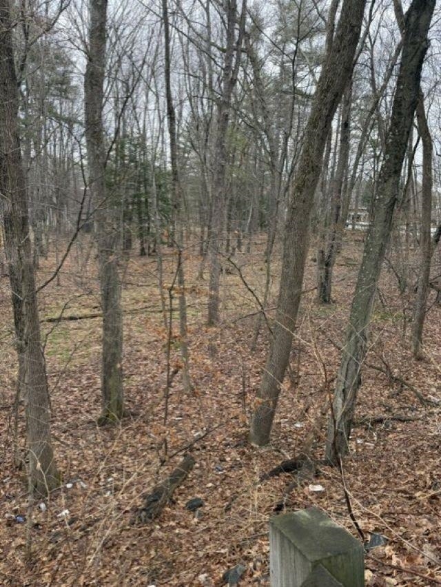 2 Shore Drive Goffstown, NH 03045 - Photo 19 of 20