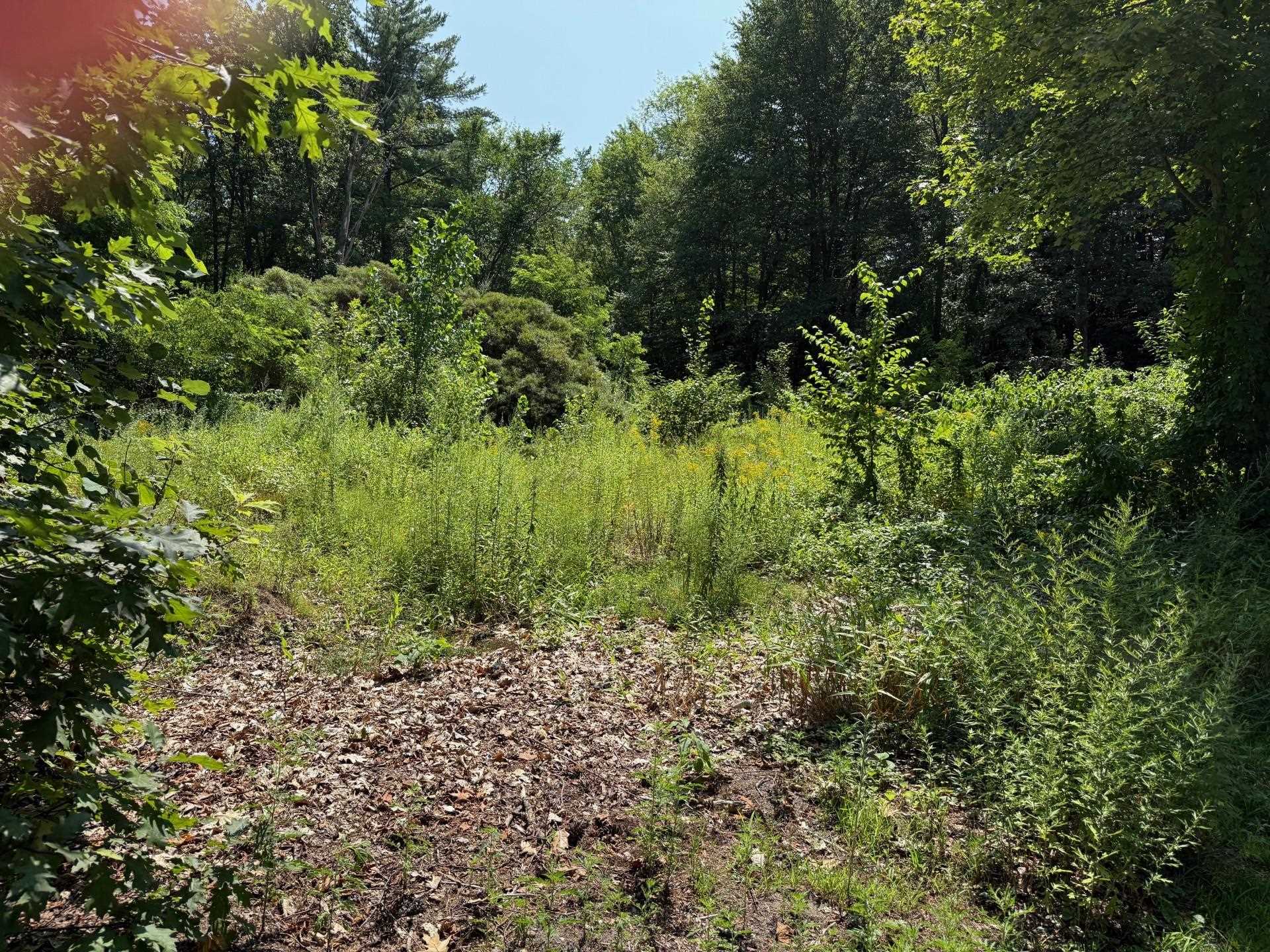 2 Shore Drive Goffstown, NH 03045 - Photo 6 of 11