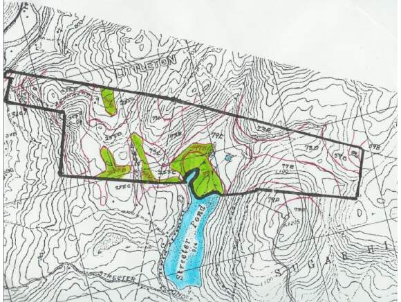 Off Of Mount Eustis Road Sugar Hill, NH 03586 - Photo 1 of 1 Gallery Image 1