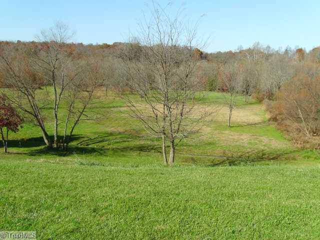 5938 Rolling Meadows Road Randleman, NC 27317 - Photo 14 of 14 Yard/Garden. Yard View