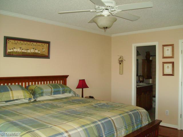 5938 Rolling Meadows Road Randleman, NC 27317 - Photo 7 of 14 Master Bedroom.