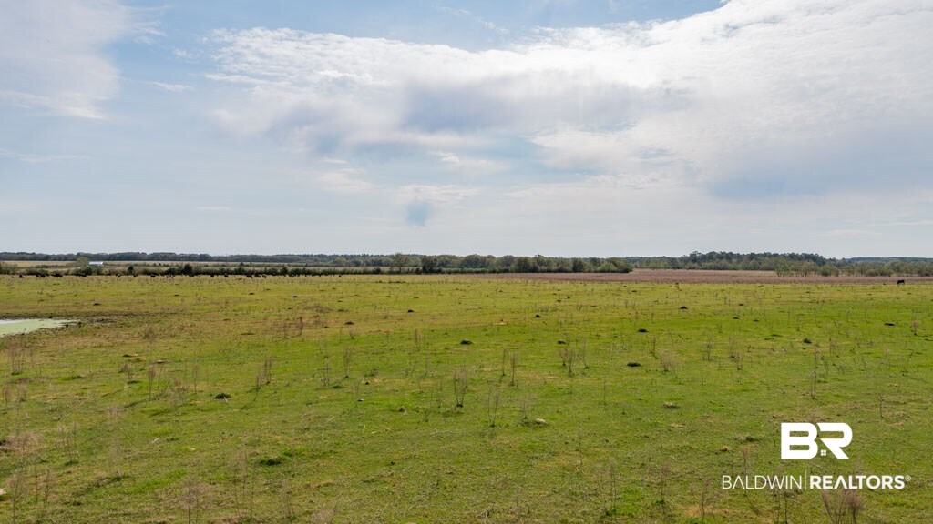 Harms Road Summerdale, AL 36580 - Photo 8 of 9