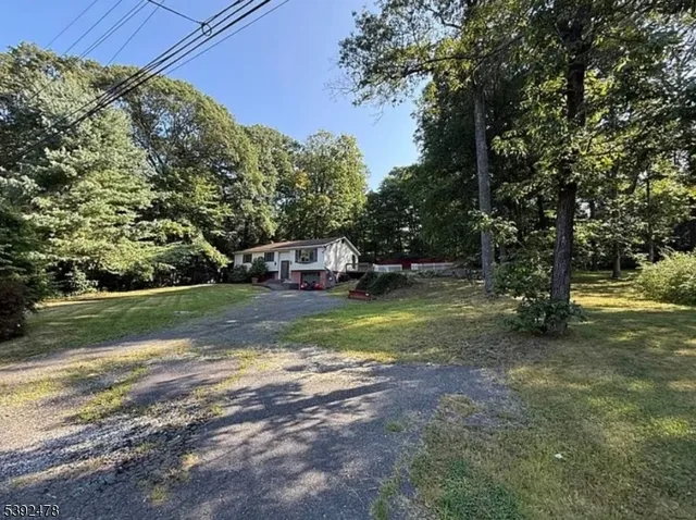 a view of a park with large trees