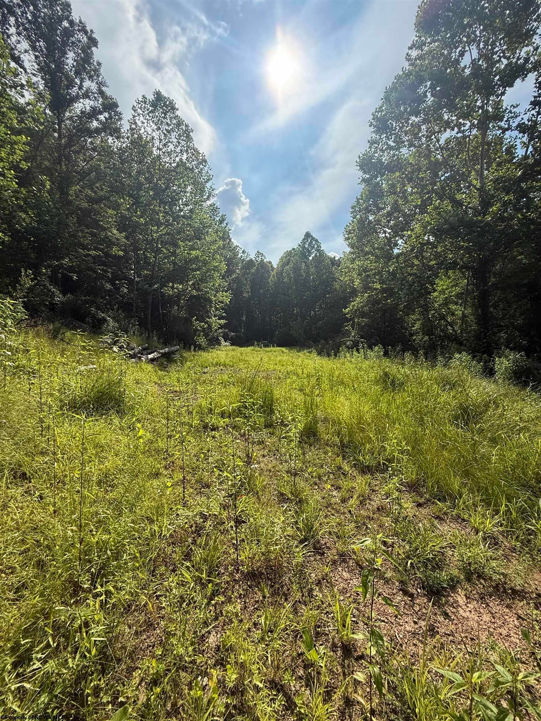 Tbd Knights Fork Road West Union, WV 26456 - Photo 10 of 13 Gallery Image 10