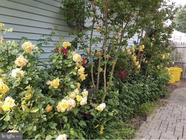 17 Sun Valley Road Hamilton, NJ 08690 - Photo 30 of 32