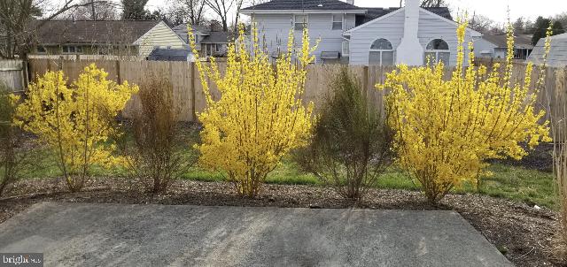 17 Sun Valley Road Hamilton, NJ 08690 - Photo 32 of 32