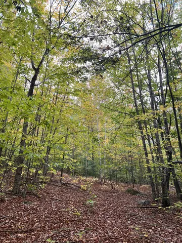 $249,000 | 0 Oak Ridge Road, Plymouth, NH 03264