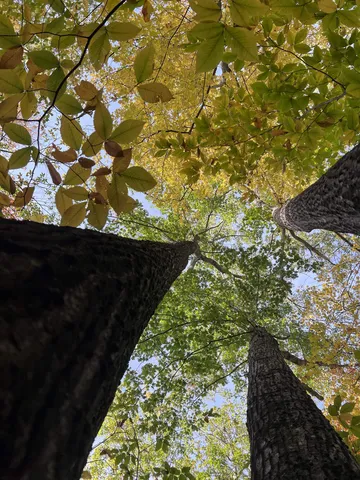 $249,000 | 0 Oak Ridge Road, Plymouth, NH 03264