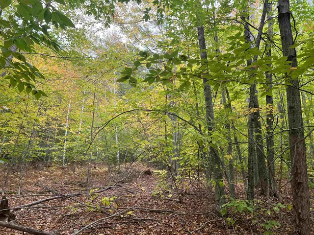 $249,000 | 0 Oak Ridge Road, Plymouth, NH 03264