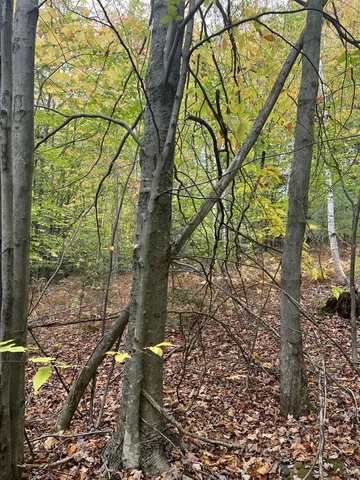 $249,000 | 0 Oak Ridge Road, Plymouth, NH 03264