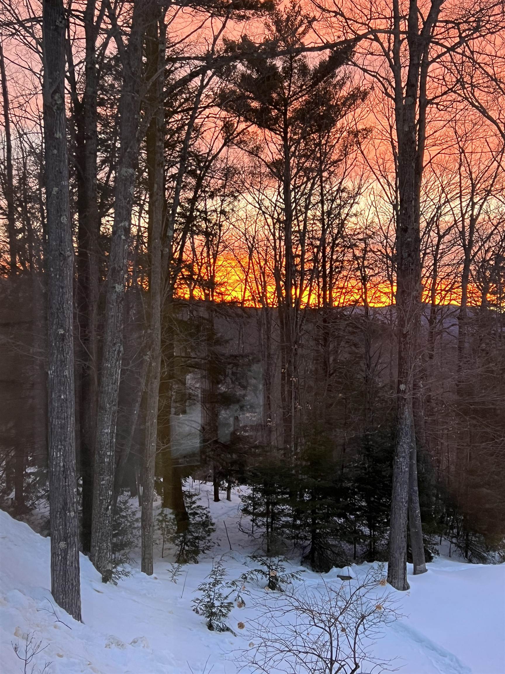 0 Oak Ridge Road Plymouth, NH 03264 - Photo 17 of 29