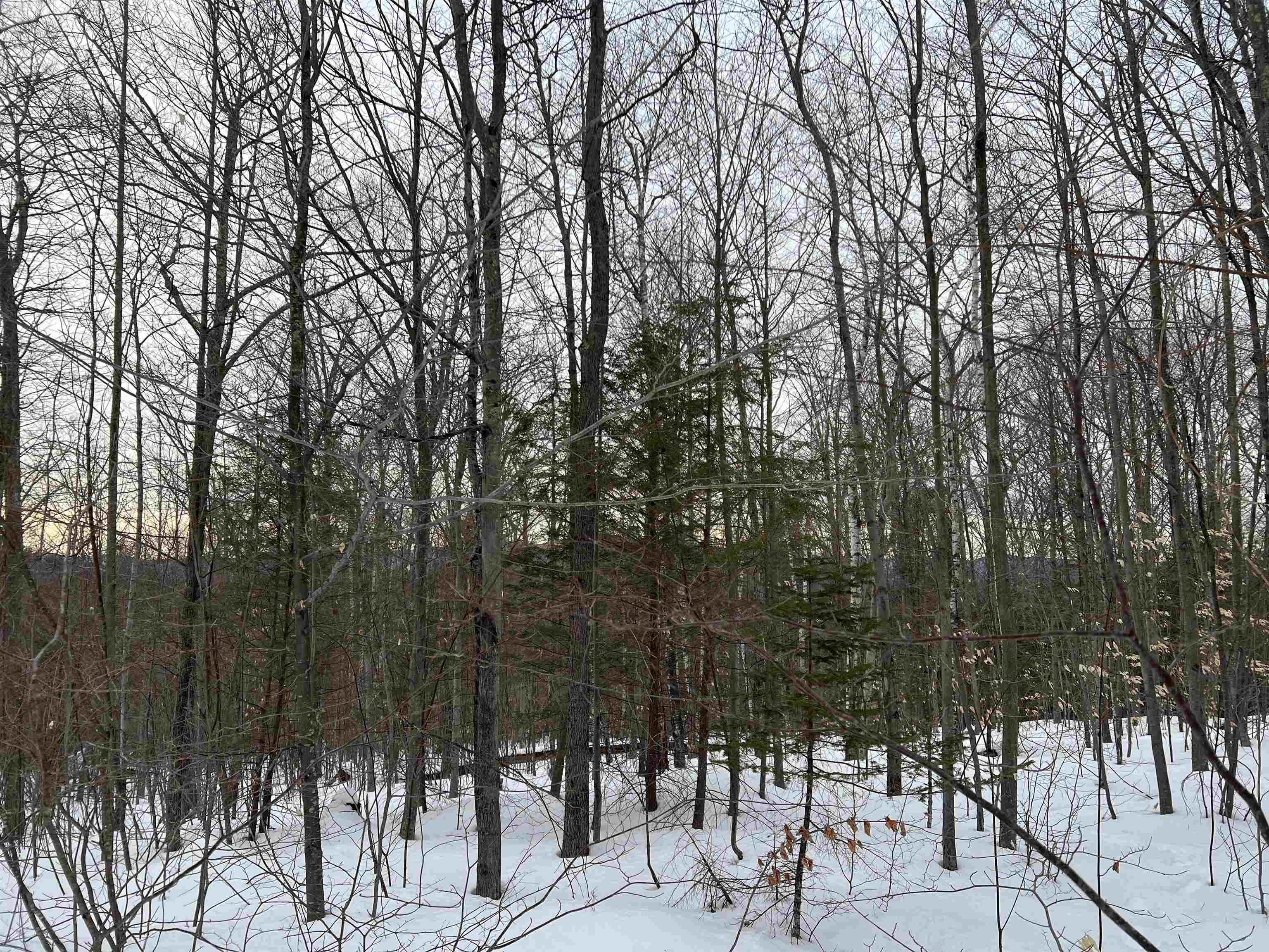 0 Oak Ridge Road Plymouth, NH 03264 - Photo 19 of 29