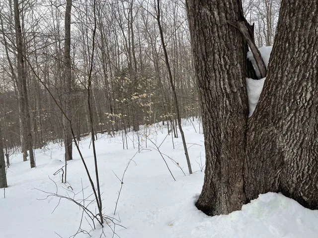 $249,000 | 0 Oak Ridge Road, Plymouth, NH 03264