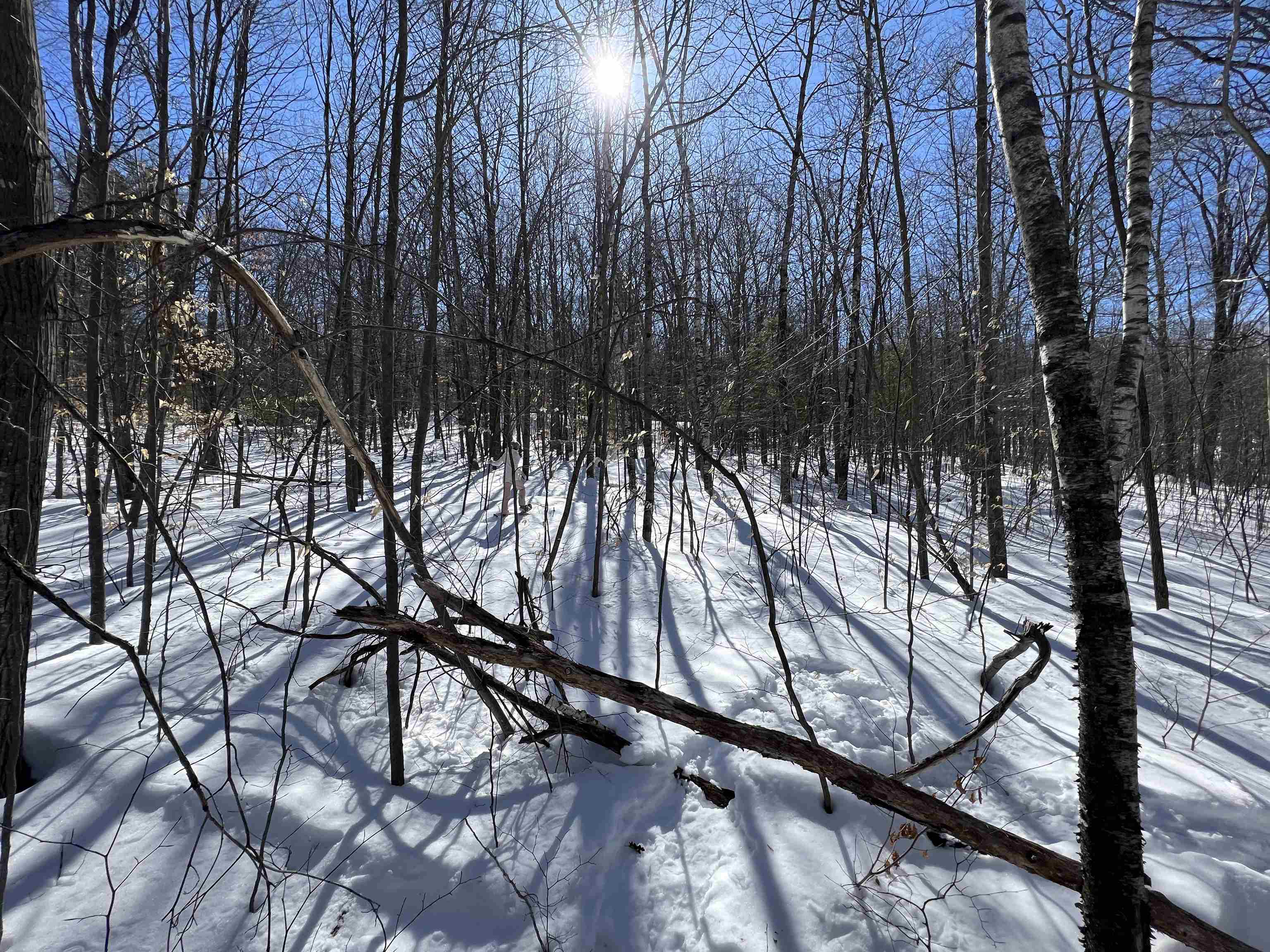 0 Oak Ridge Road Plymouth, NH 03264 - Photo 22 of 29