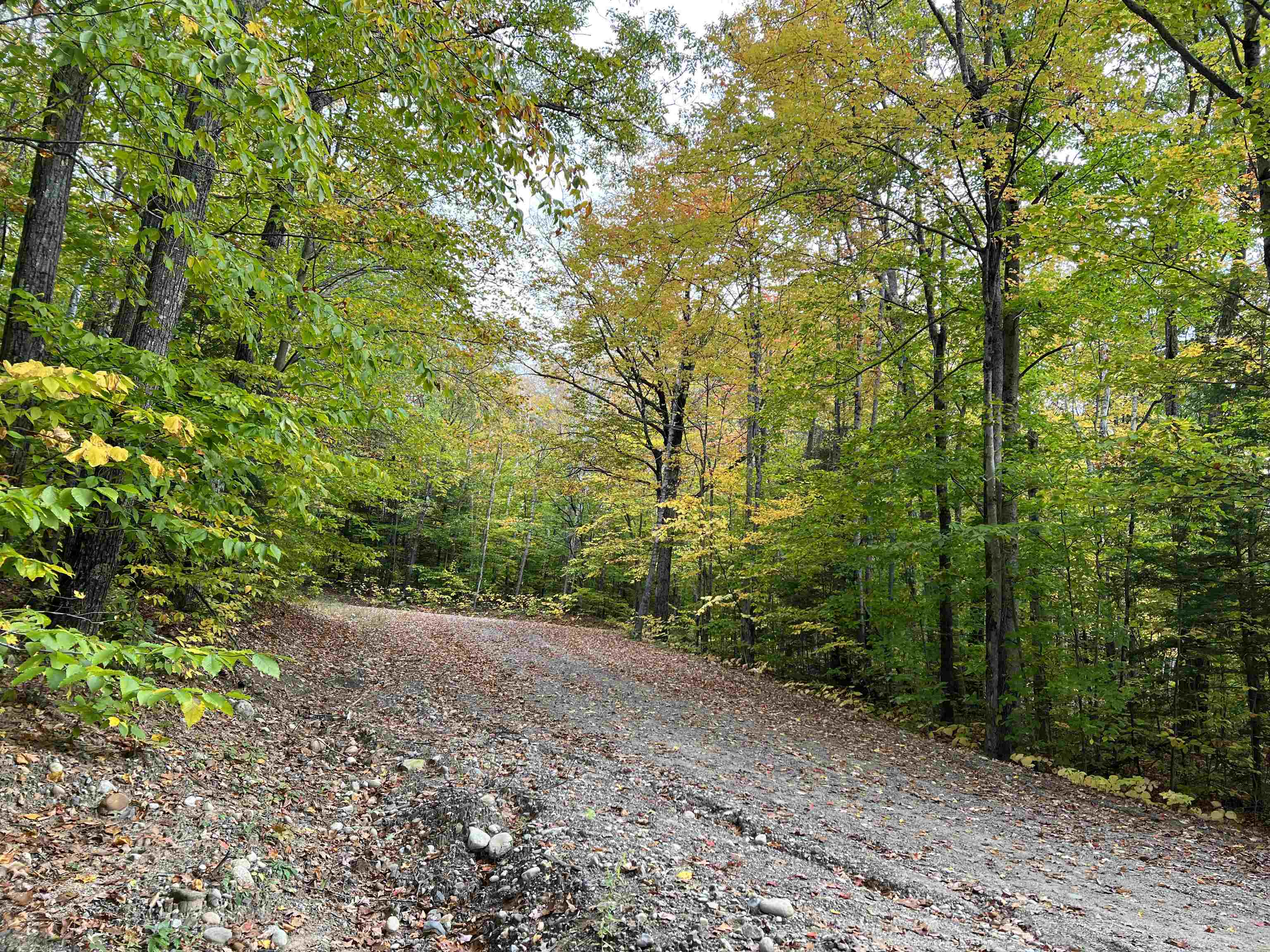 0 Oak Ridge Road Plymouth, NH 03264 - Photo 23 of 29