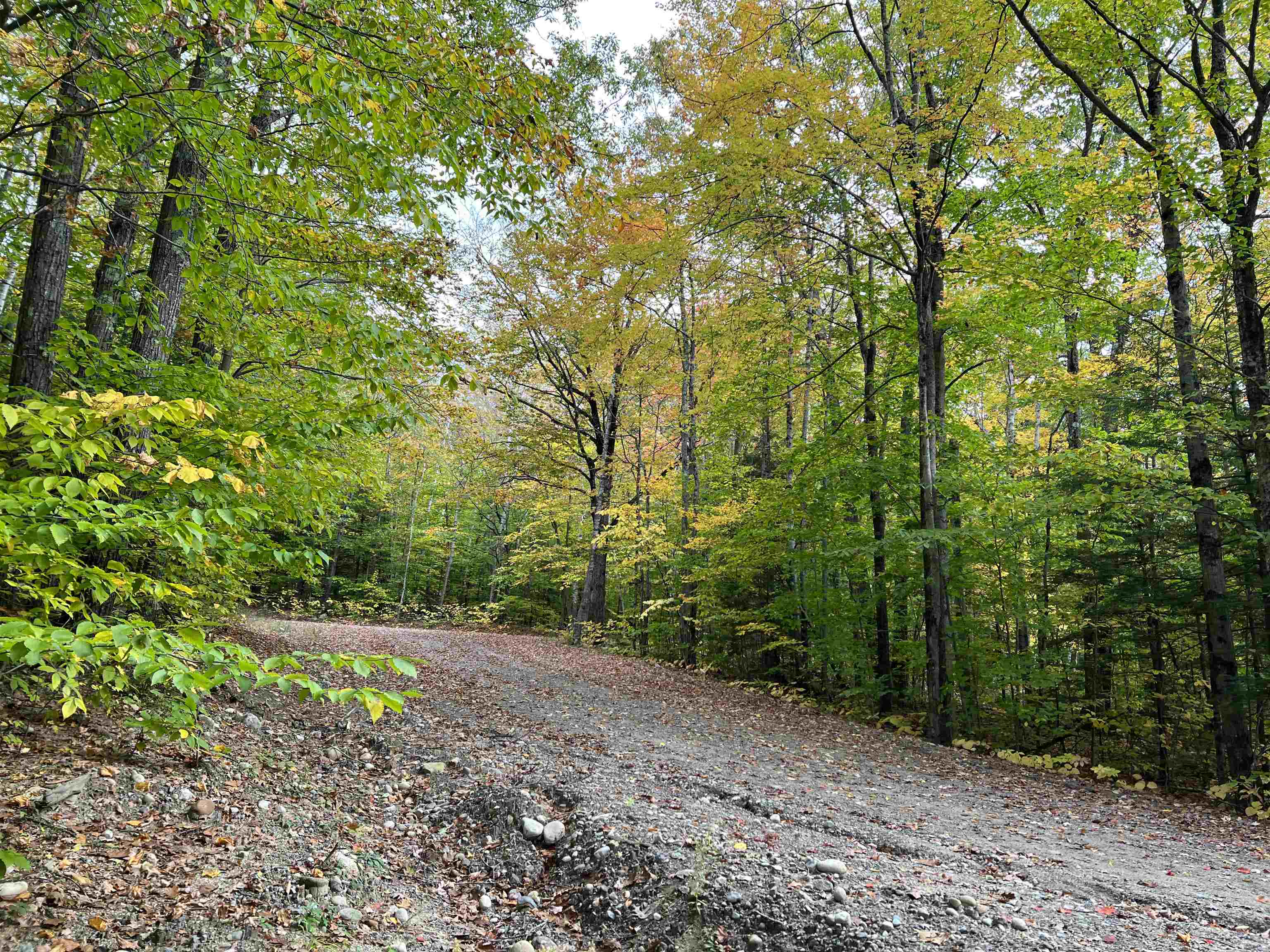 0 Oak Ridge Road Plymouth, NH 03264 - Photo 25 of 29