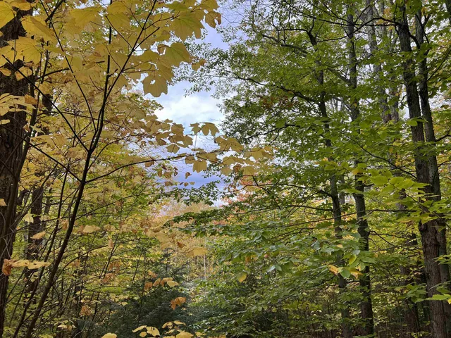 $249,000 | 0 Oak Ridge Road, Plymouth, NH 03264