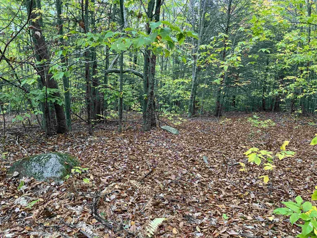 $249,000 | 0 Oak Ridge Road, Plymouth, NH 03264