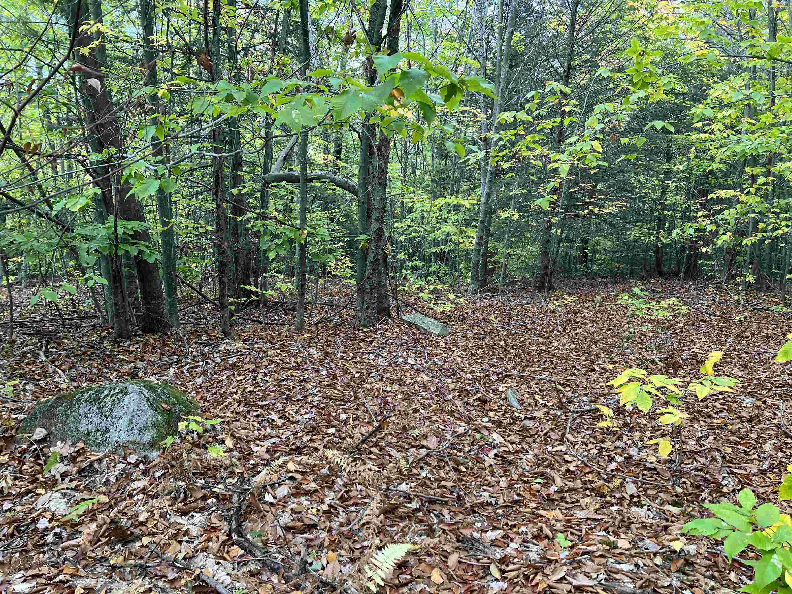 0 Oak Ridge Road Plymouth, NH 03264 - Photo 27 of 29