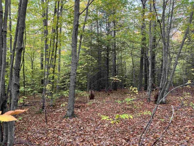 $249,000 | 0 Oak Ridge Road, Plymouth, NH 03264