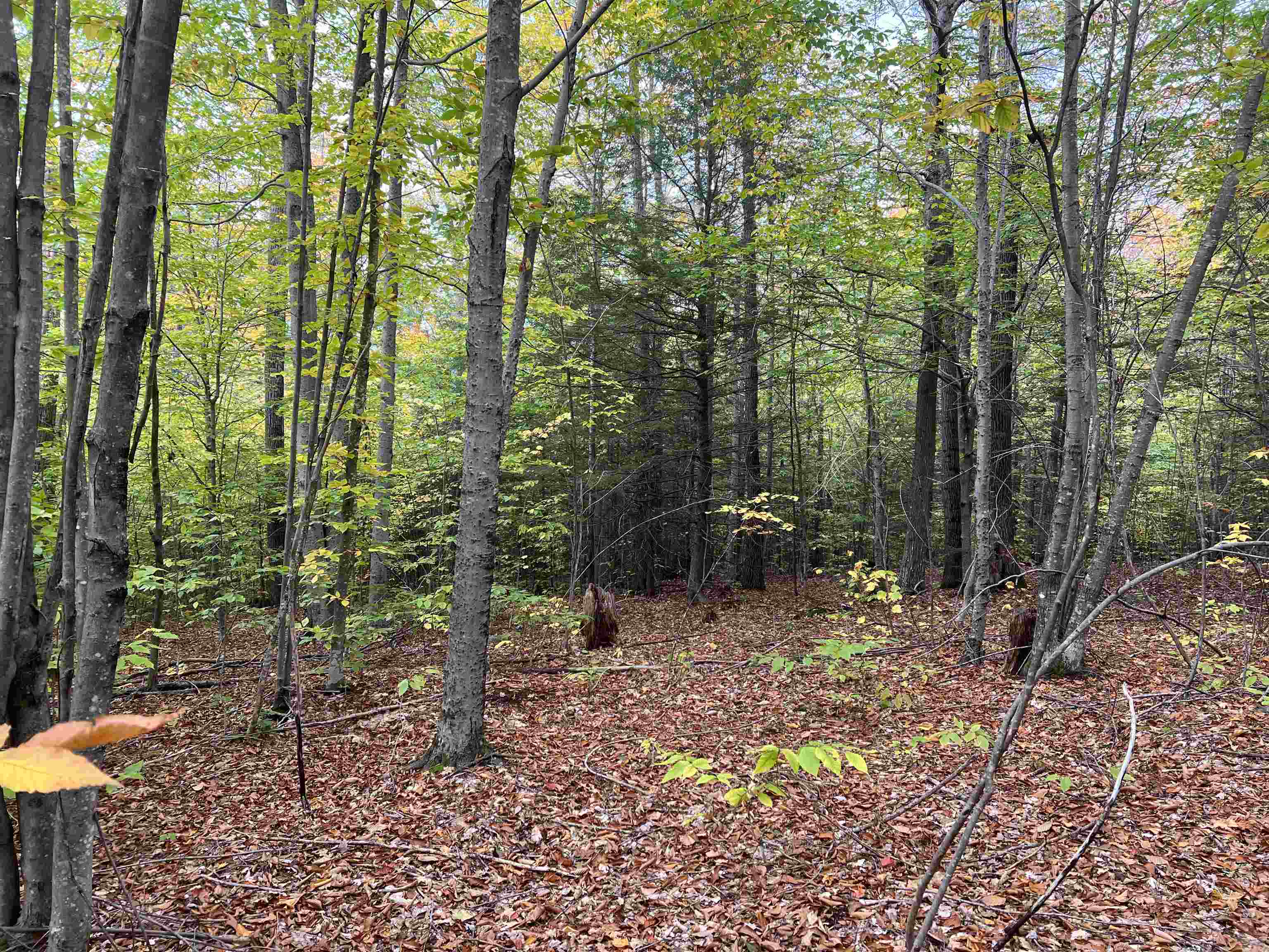 0 Oak Ridge Road Plymouth, NH 03264 - Photo 28 of 29