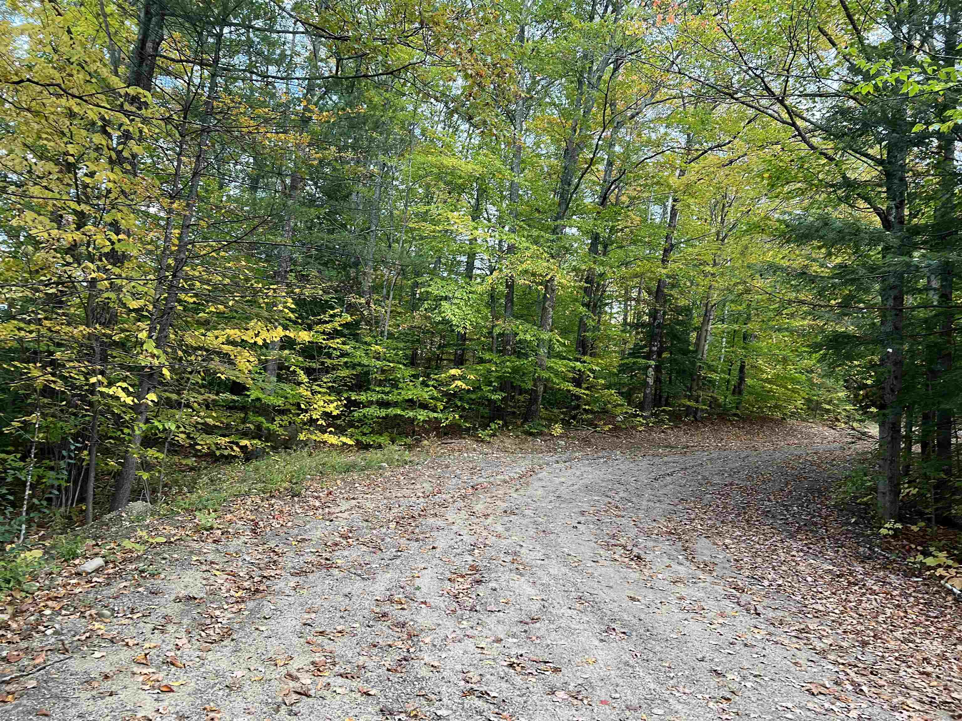 0 Oak Ridge Road Plymouth, NH 03264 - Photo 9 of 29