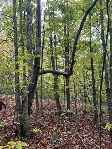 $249,000 | 0 Oak Ridge Road, Plymouth, NH 03264