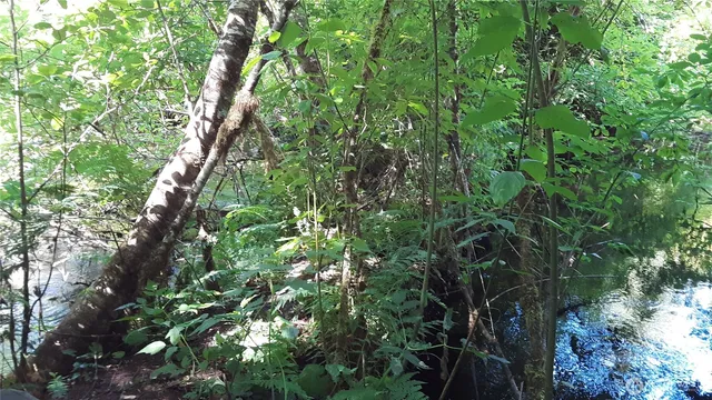 $245,000 | -236xxx 236-xxx Us-101 Port, Port Angeles, WA 98363