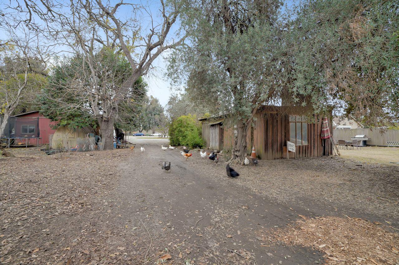 5885 Monterey Frontage Road, Unit A Gilroy, CA 95020 - Photo 44 of 49 a view of a house with a tree