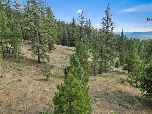 $99,000 | Nka Weaver Road, Unit LOT 1 OF LOT 7, Nine Mile Falls, WA 99026