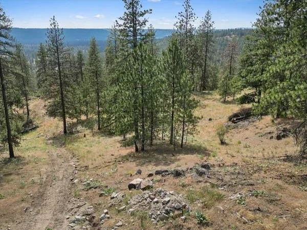 $99,000 | Nka Weaver Road, Unit LOT 1 OF LOT 7, Nine Mile Falls, WA 99026