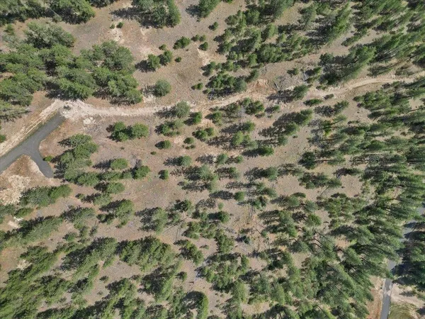 $99,000 | Nka Weaver Road, Unit LOT 1 OF LOT 7, Nine Mile Falls, WA 99026