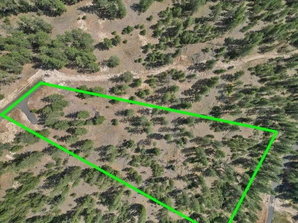 $99,000 | Nka Weaver Road, Unit LOT 1 OF LOT 7, Nine Mile Falls, WA 99026