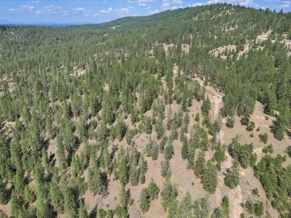 $99,000 | Nka Weaver Road, Unit LOT 1 OF LOT 7, Nine Mile Falls, WA 99026