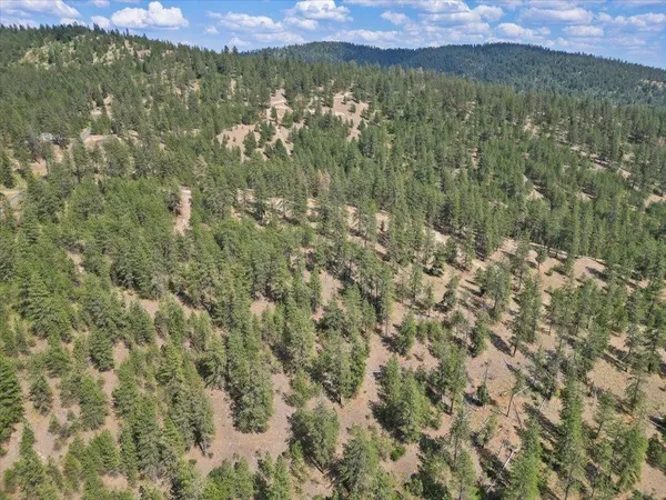 $99,000 | Nka Weaver Road, Unit LOT 1 OF LOT 7, Nine Mile Falls, WA 99026