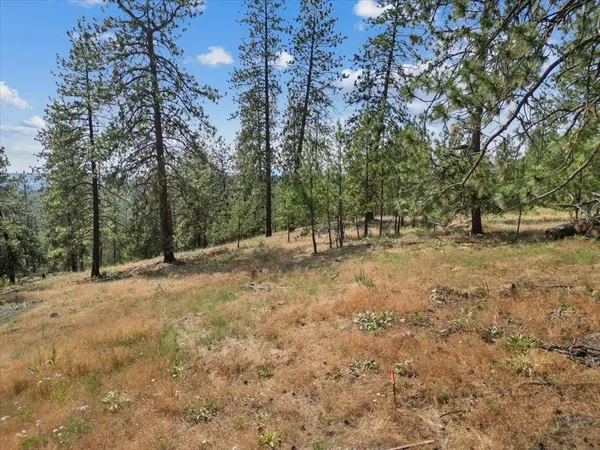 $99,000 | Nka Weaver Road, Unit LOT 1 OF LOT 7, Nine Mile Falls, WA 99026