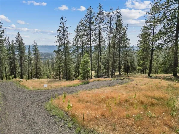 $99,000 | Nka Weaver Road, Unit LOT 1 OF LOT 7, Nine Mile Falls, WA 99026