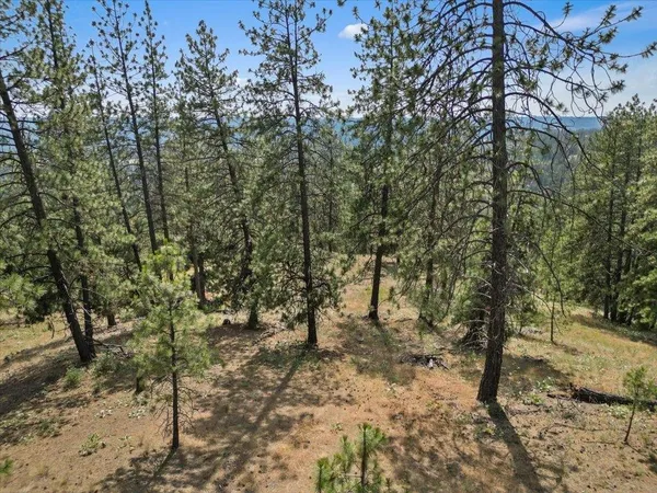 $99,000 | Nka Weaver Road, Unit LOT 1 OF LOT 7, Nine Mile Falls, WA 99026