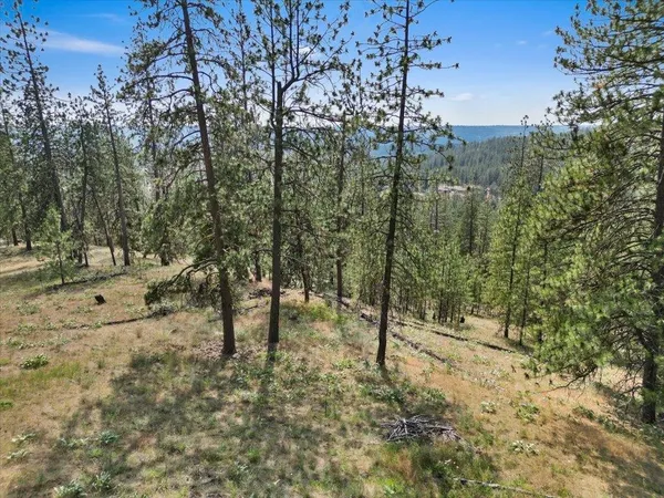 $99,000 | Nka Weaver Road, Unit LOT 1 OF LOT 7, Nine Mile Falls, WA 99026