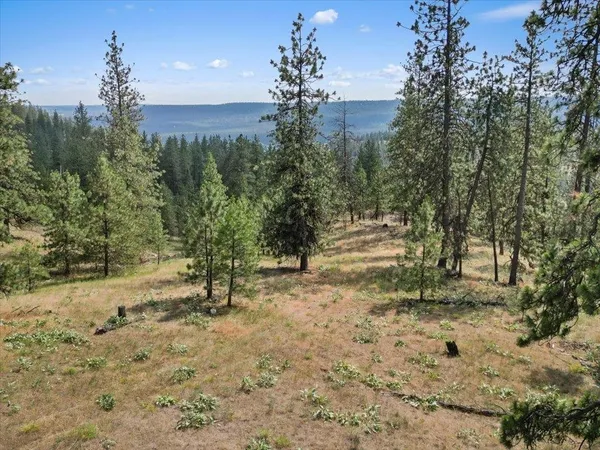 $99,000 | Nka Weaver Road, Unit LOT 1 OF LOT 7, Nine Mile Falls, WA 99026